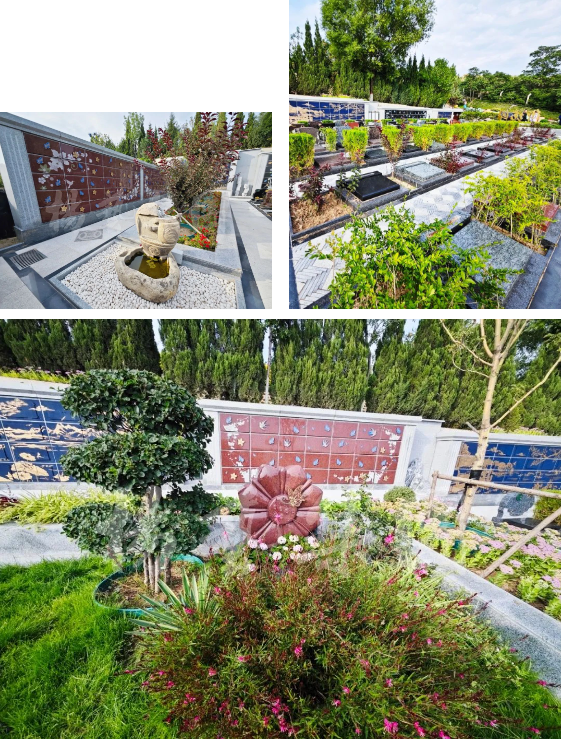 抖圈-为du而生官网入口