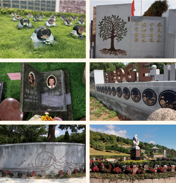 抖圈-为du而生官网入口