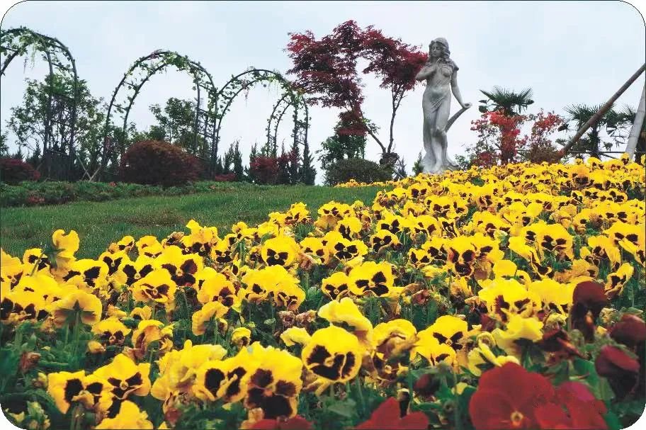 抖圈-为du而生官网入口