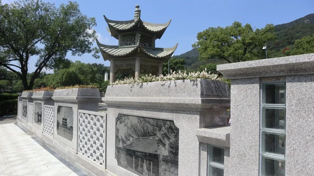 抖圈-为du而生官网入口