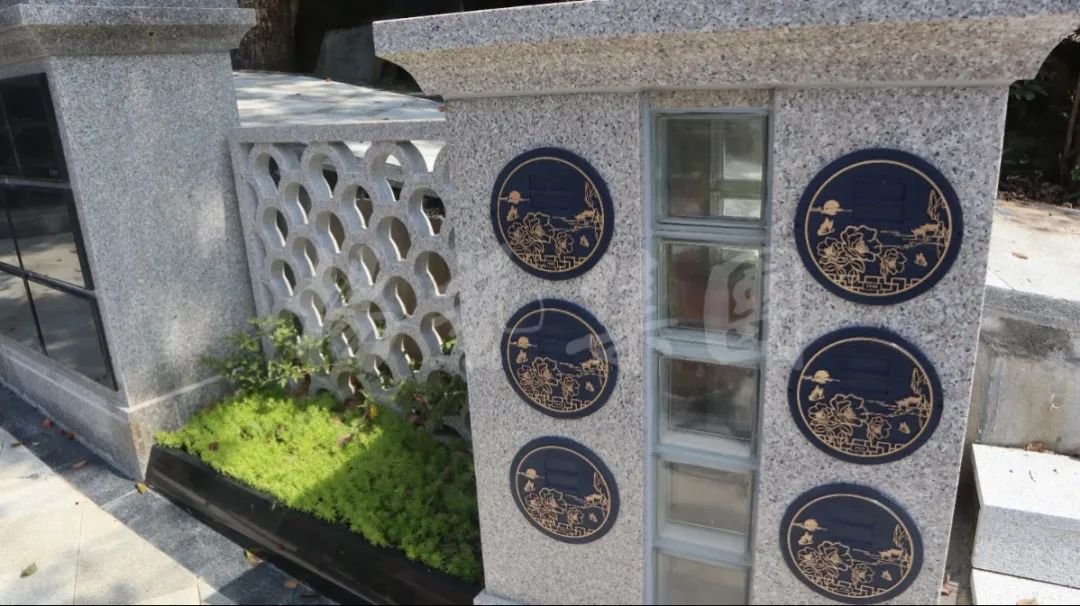 抖圈-为du而生官网入口