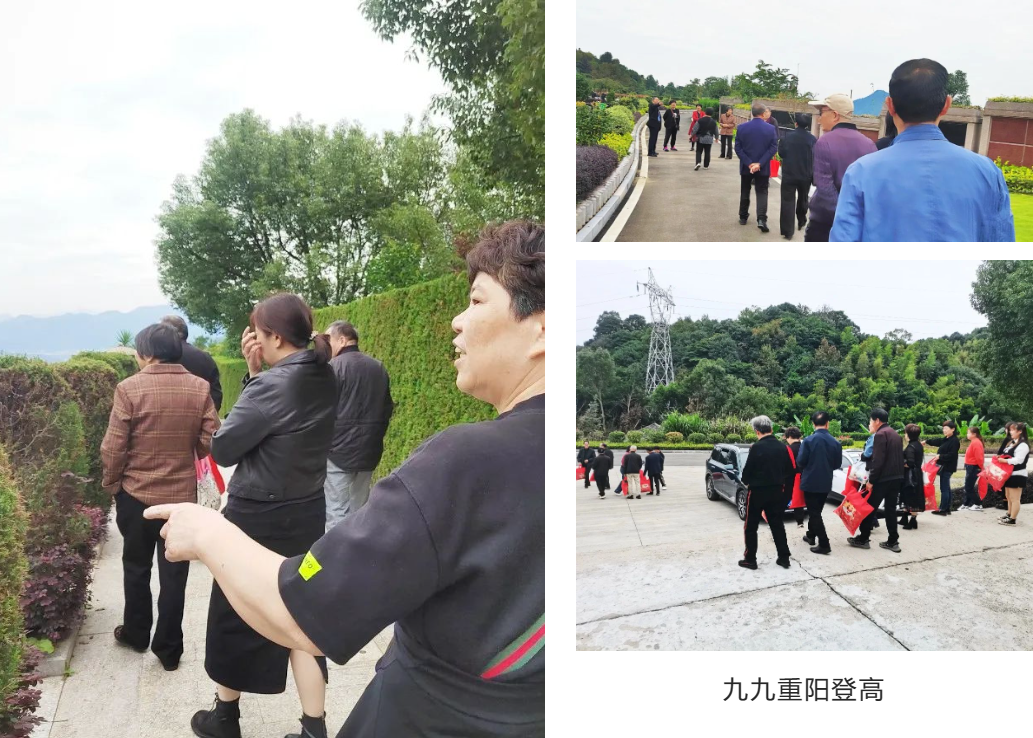 抖圈-为du而生官网入口