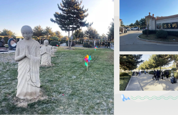 抖圈-为du而生官网入口