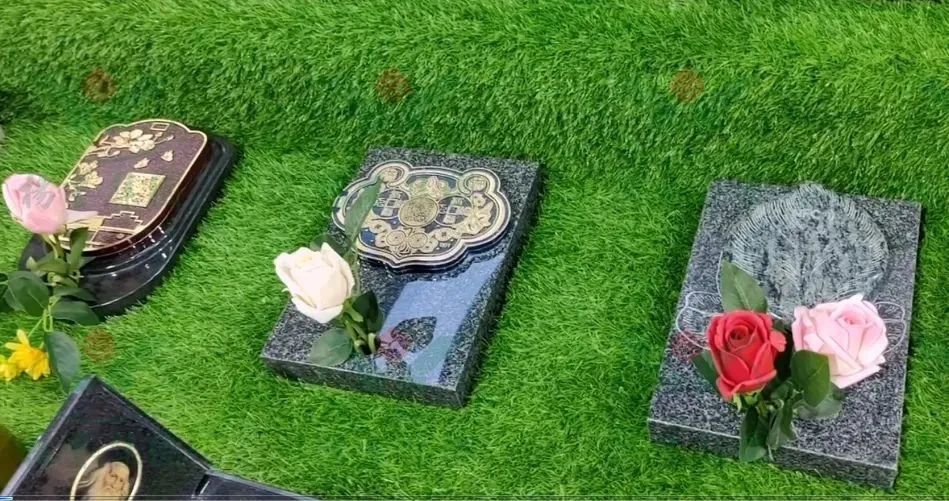 抖圈-为du而生官网入口