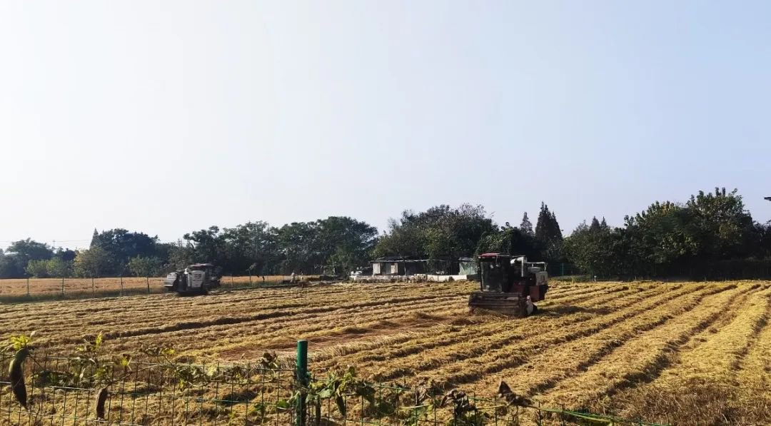 抖圈-为du而生官网入口