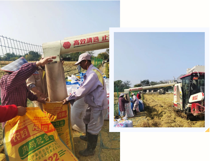 抖圈-为du而生官网入口