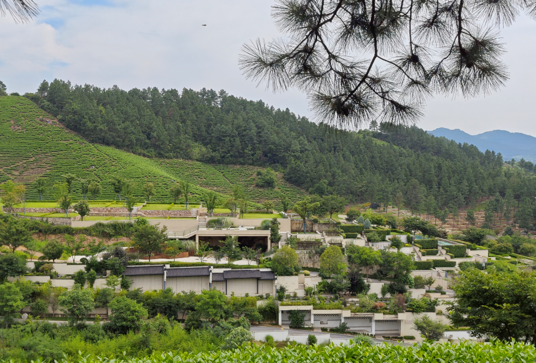 抖圈-为du而生官网入口