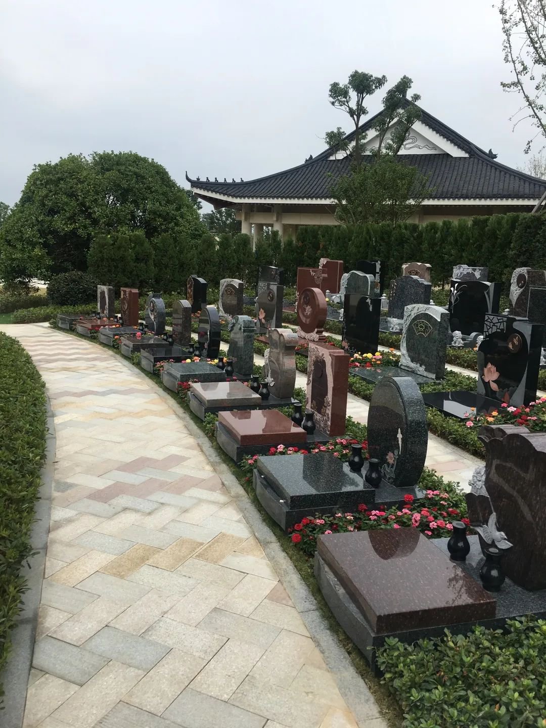 抖圈-为du而生官网入口