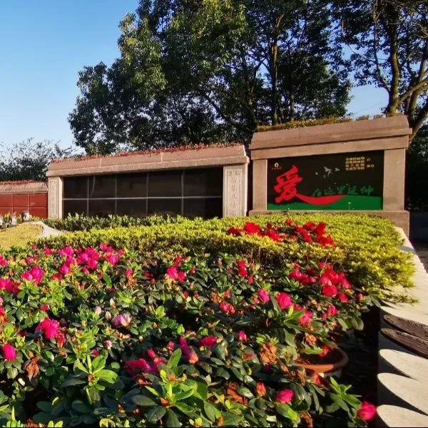 抖圈-为du而生官网入口