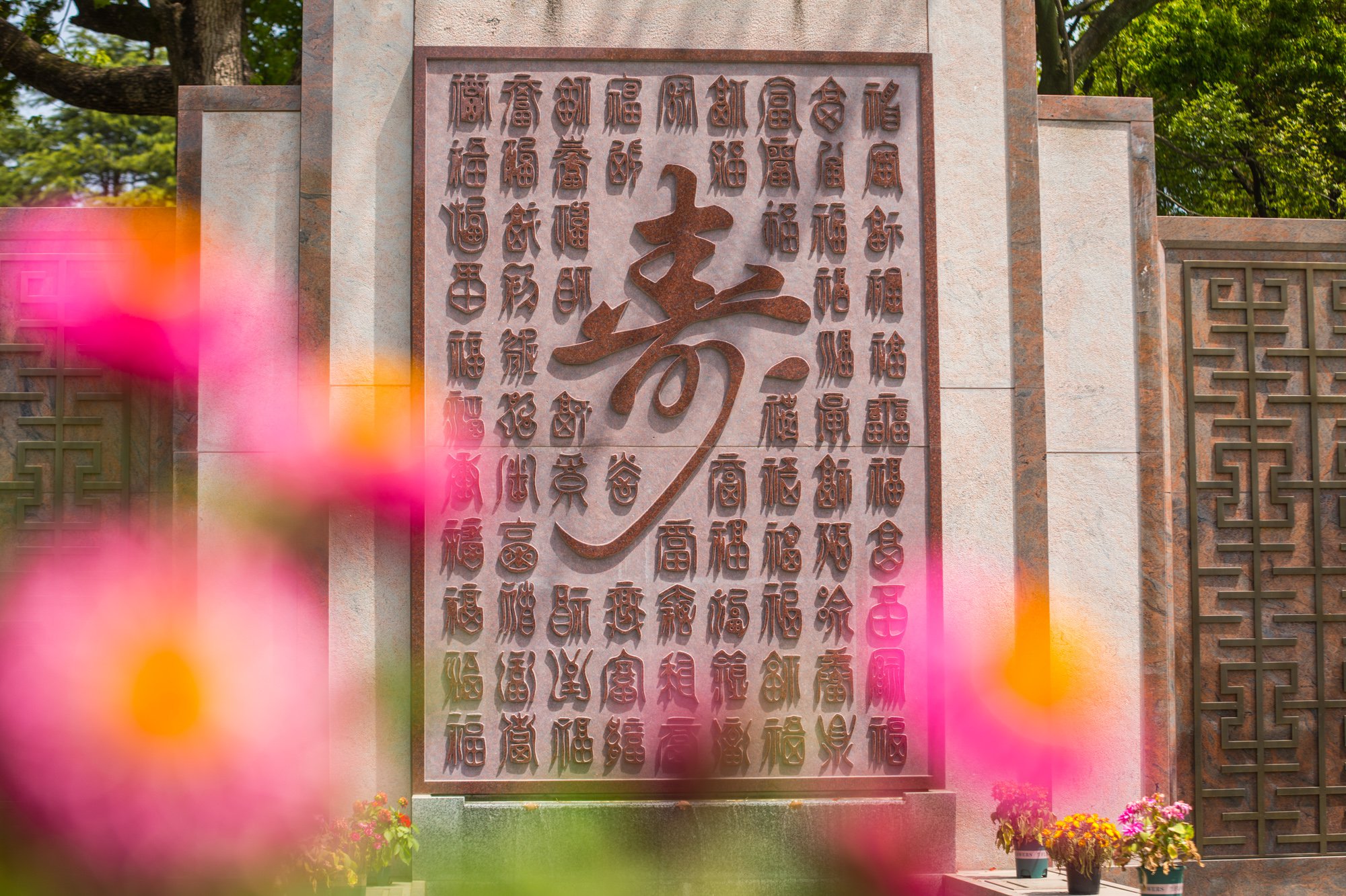 抖圈-为du而生官网入口