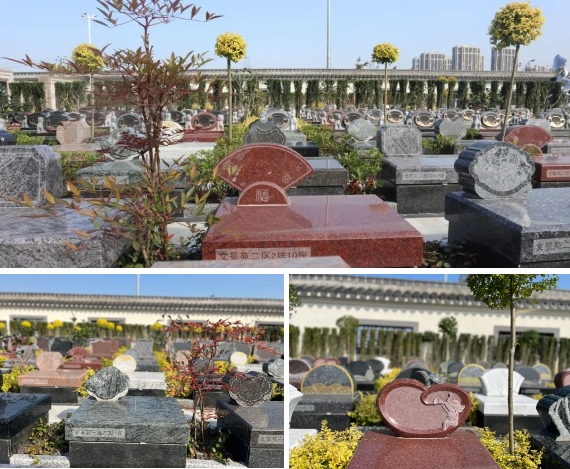 抖圈-为du而生官网入口