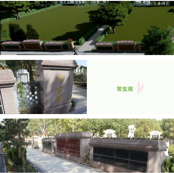 抖圈-为du而生官网入口