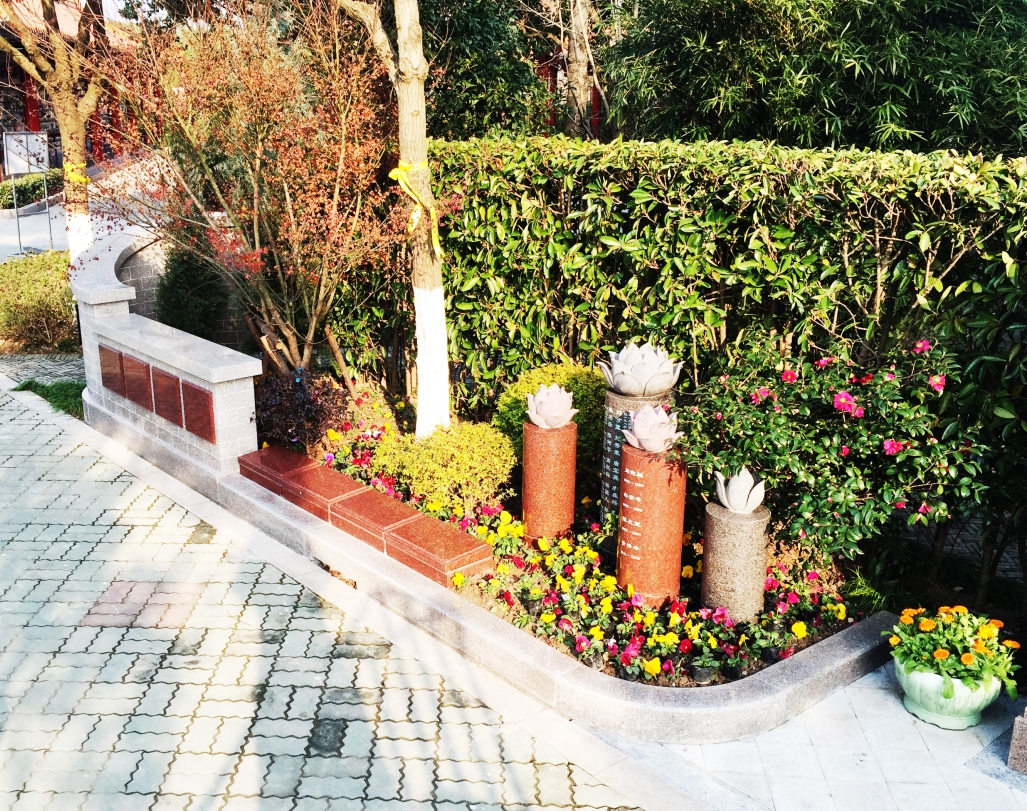 抖圈-为du而生官网入口