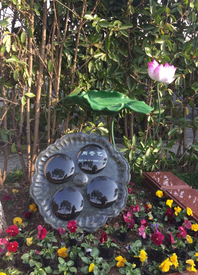 抖圈-为du而生官网入口