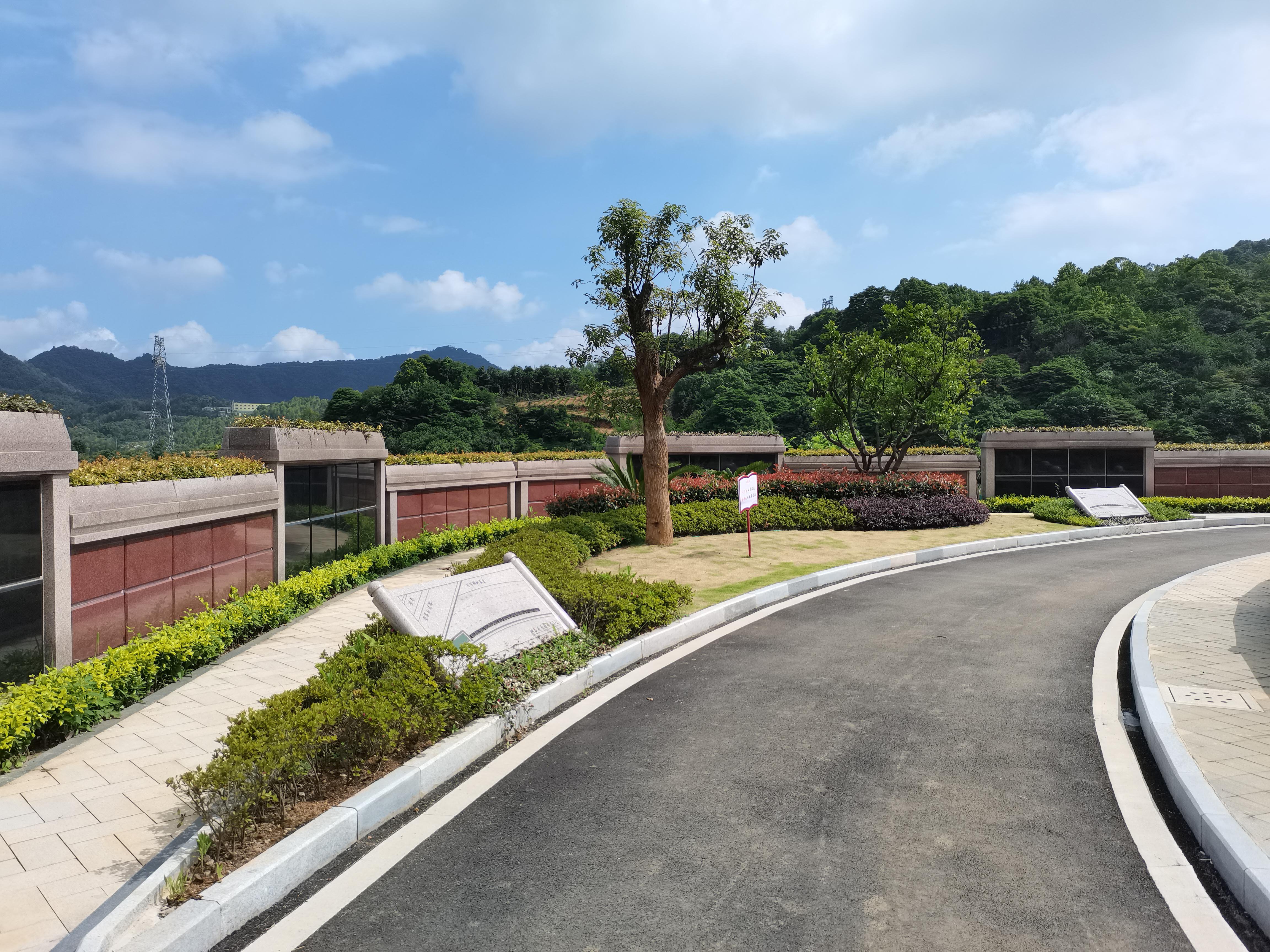 海葬和树葬哪个好？两种生态葬祭方法的选择与意义