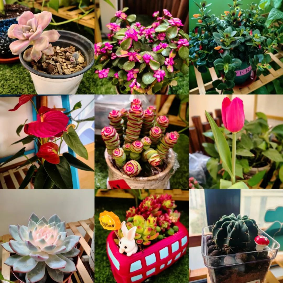 抖圈-为du而生官网入口