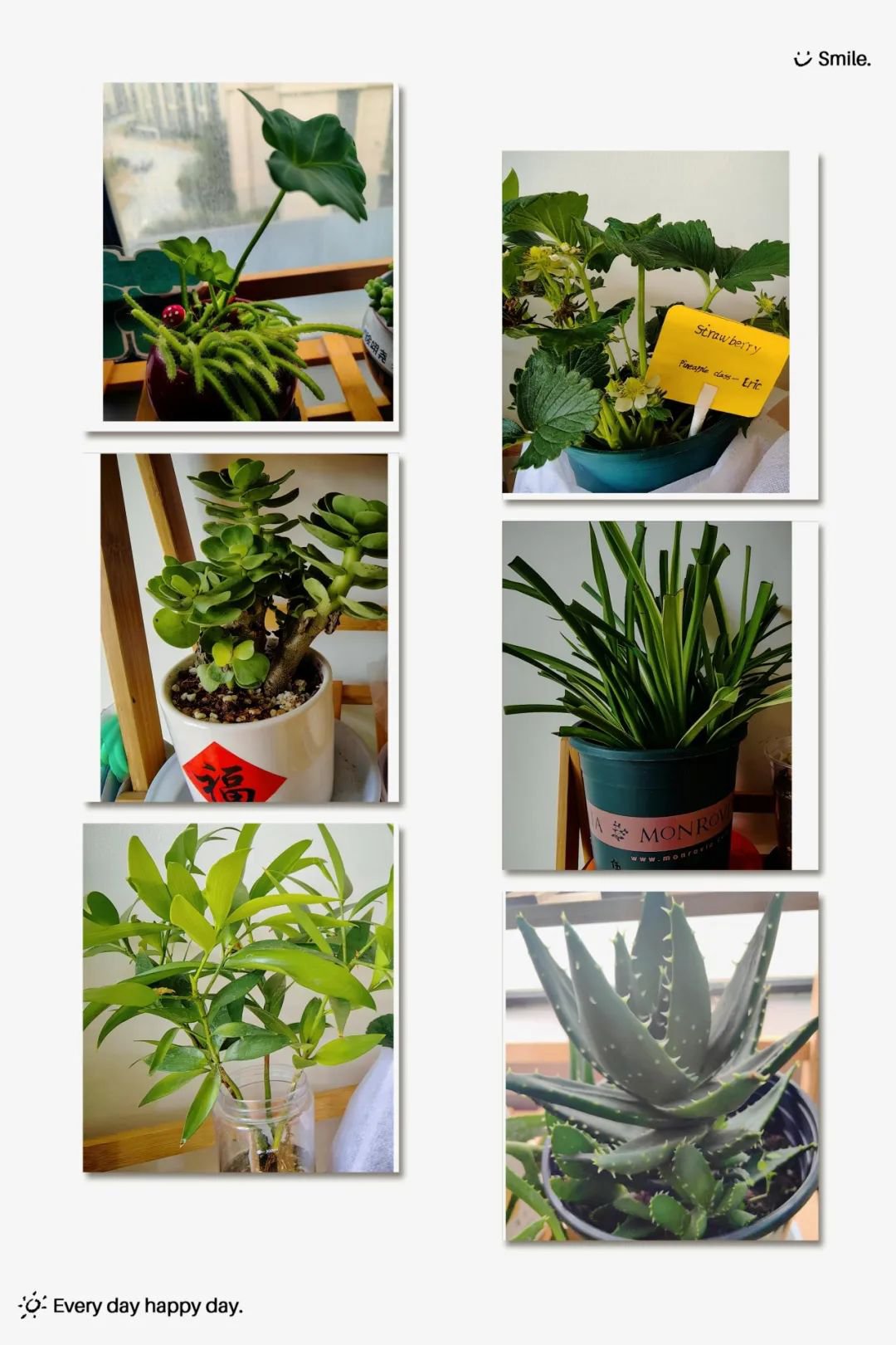 抖圈-为du而生官网入口