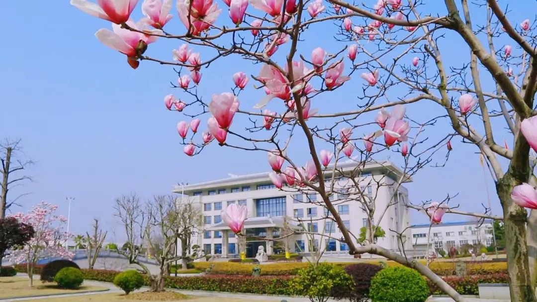 抖圈-为du而生官网入口