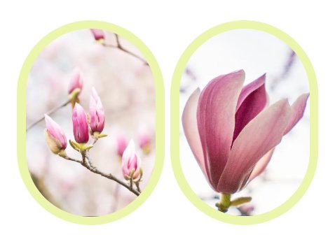 抖圈-为du而生官网入口