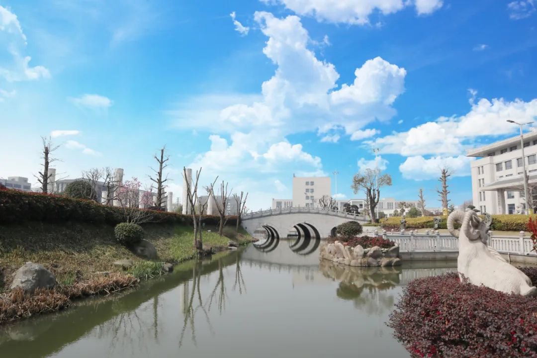 抖圈-为du而生官网入口