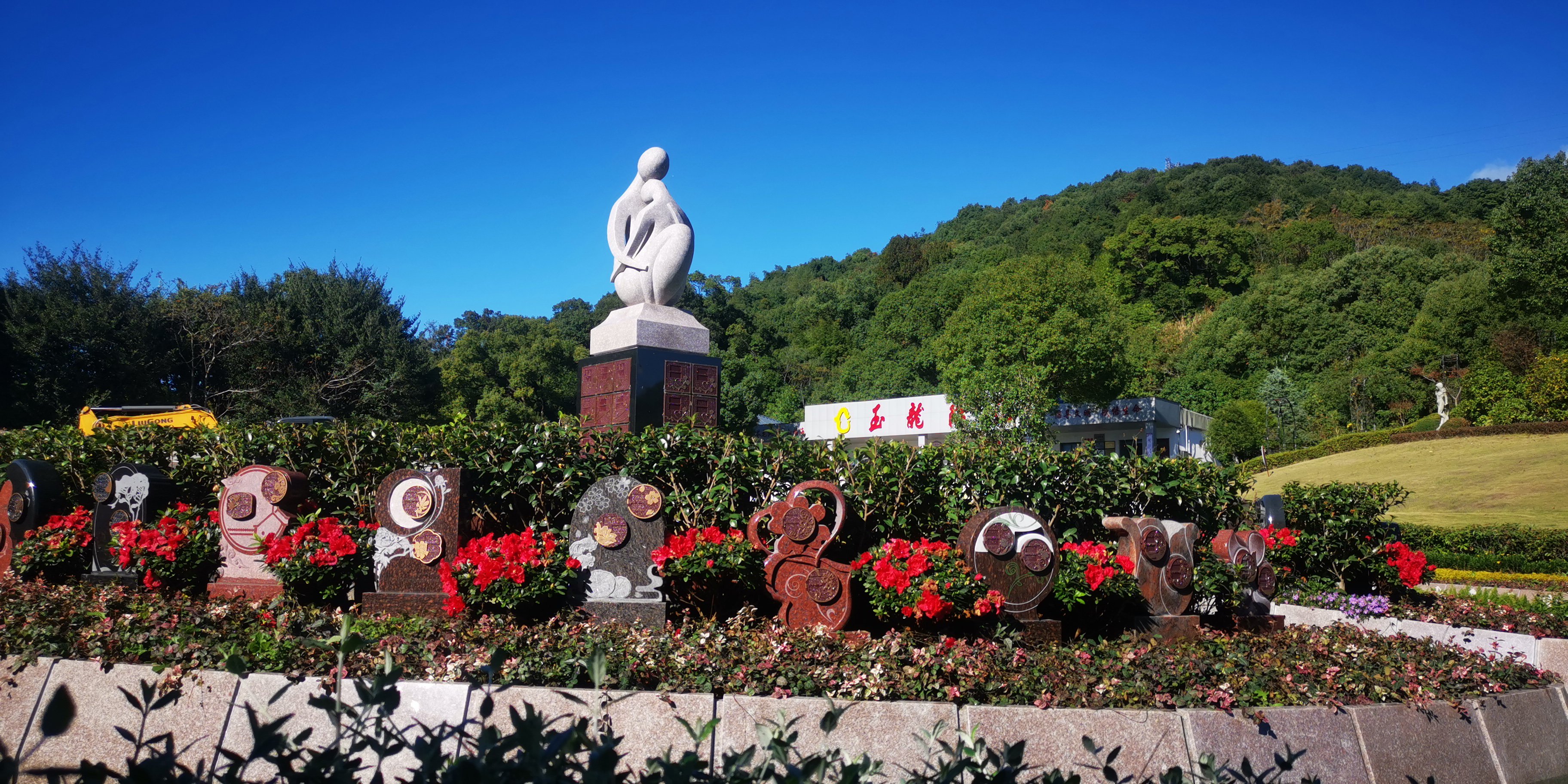 抖圈-为du而生官网入口