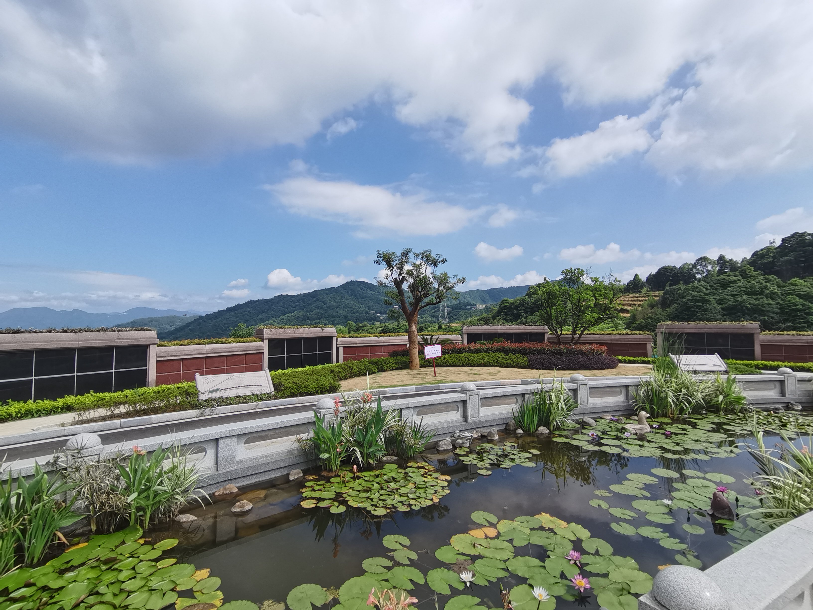 抖圈-为du而生官网入口