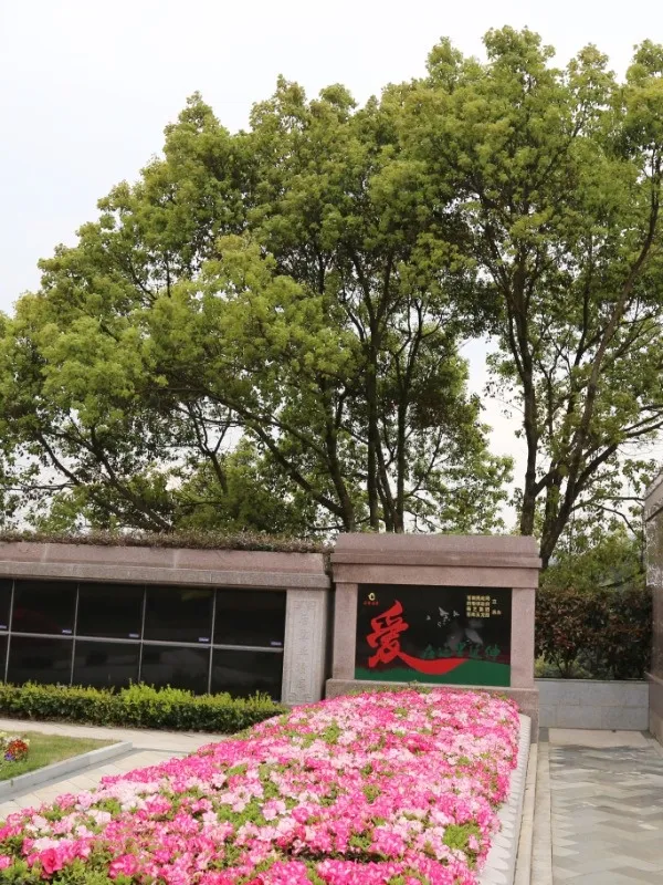 抖圈-为du而生官网入口