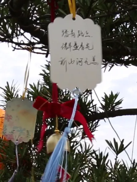 抖圈-为du而生官网入口