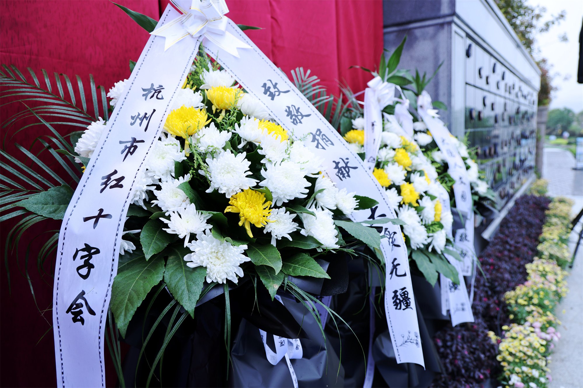 抖圈-为du而生官网入口