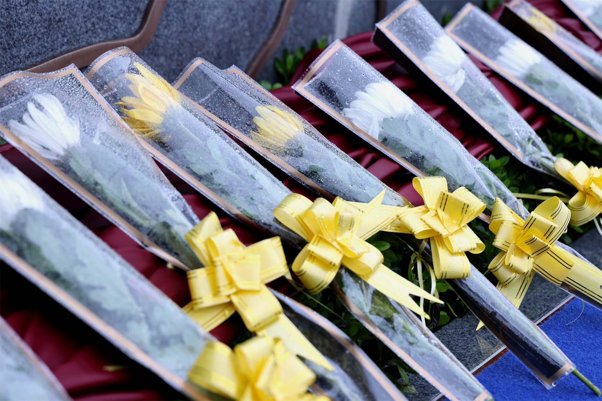 抖圈-为du而生官网入口