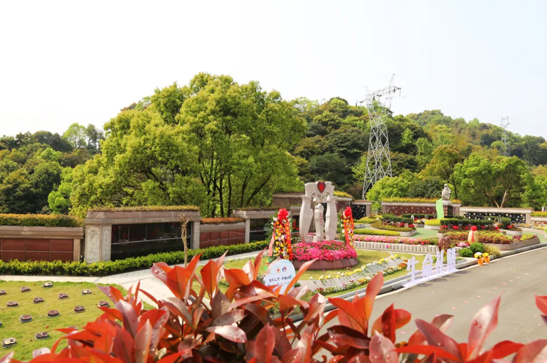 抖圈-为du而生官网入口