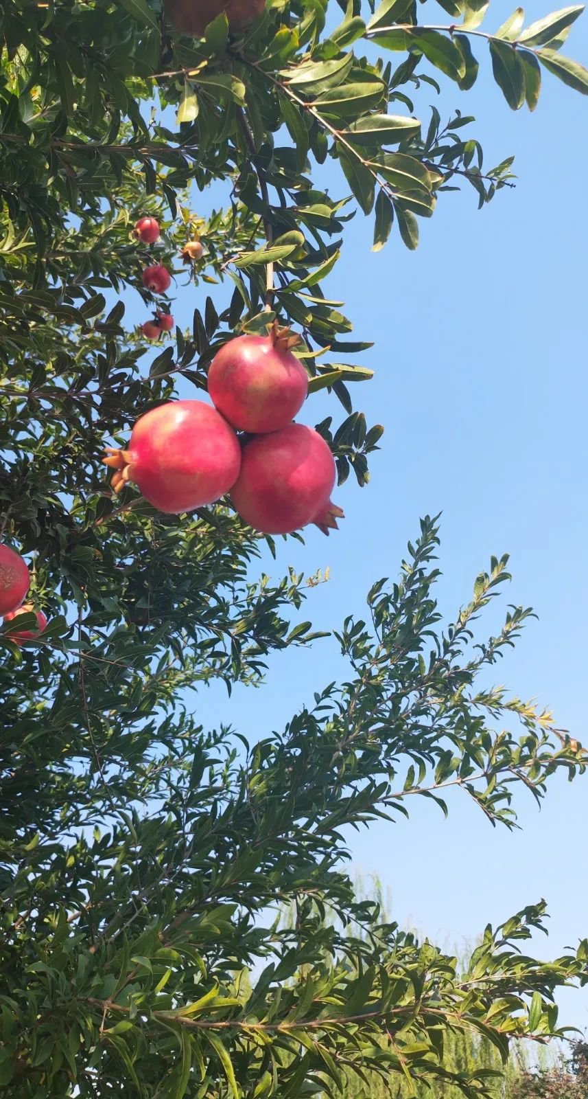 抖圈-为du而生官网入口