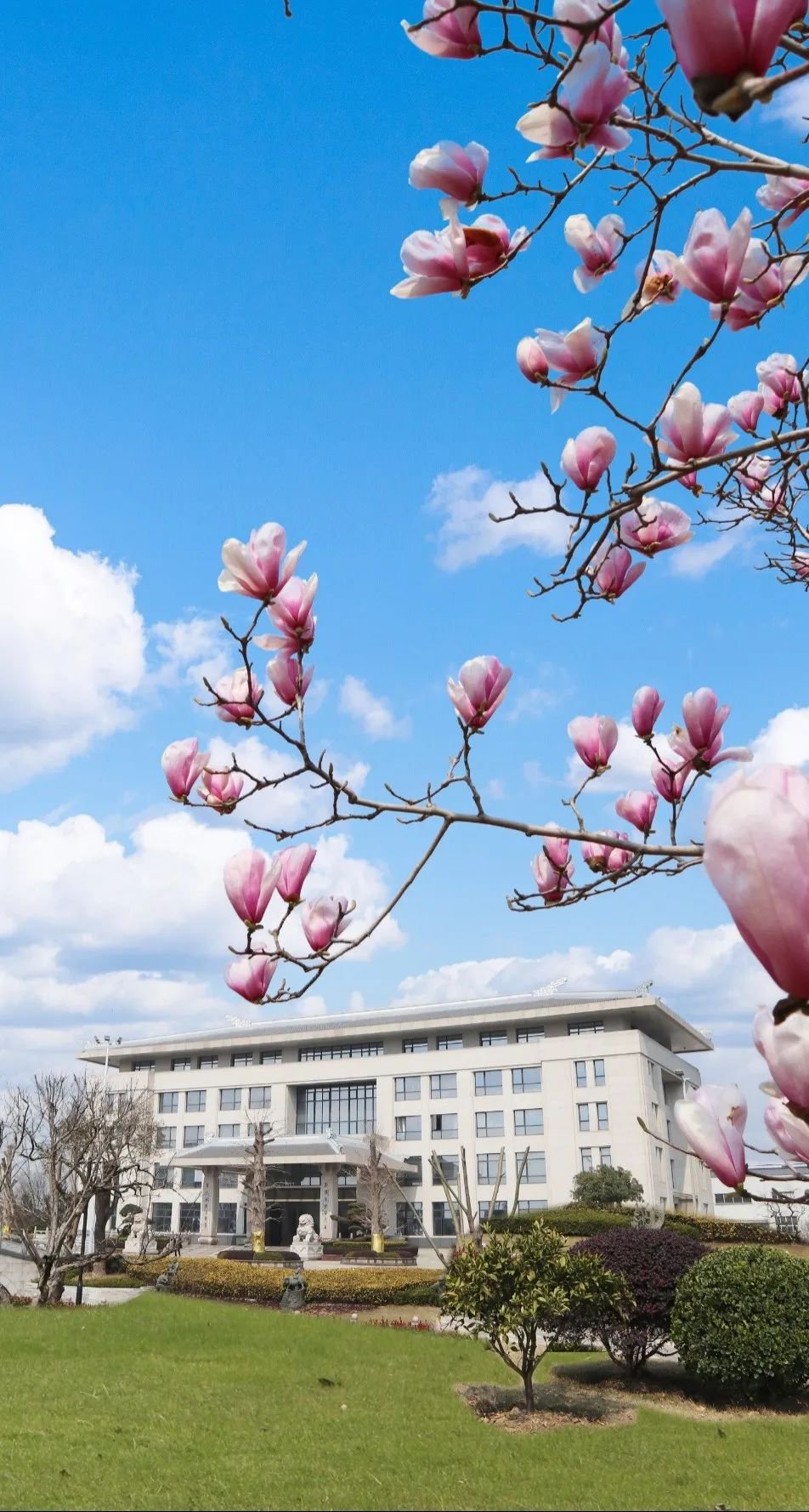 抖圈-为du而生官网入口