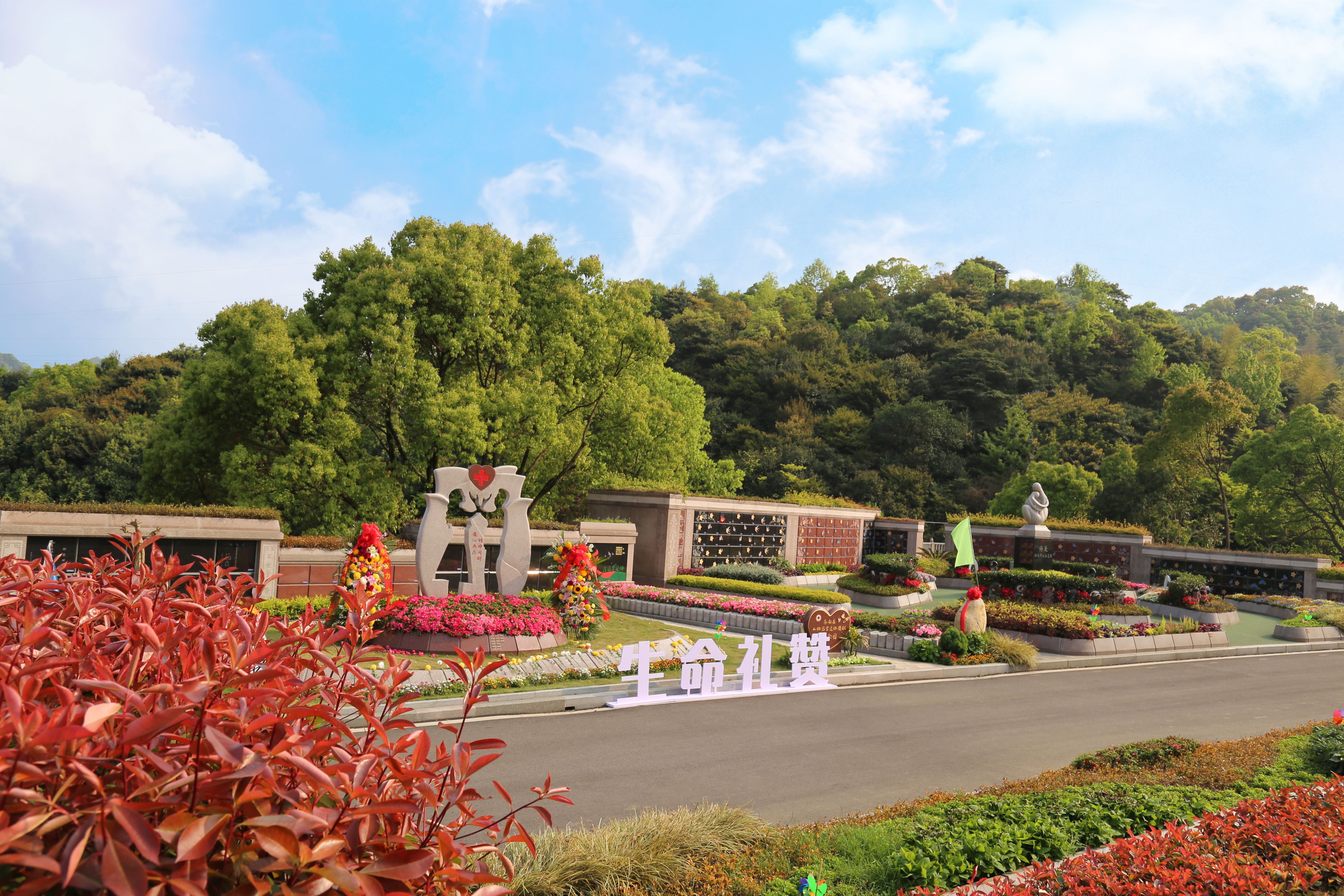 抖圈-为du而生官网入口