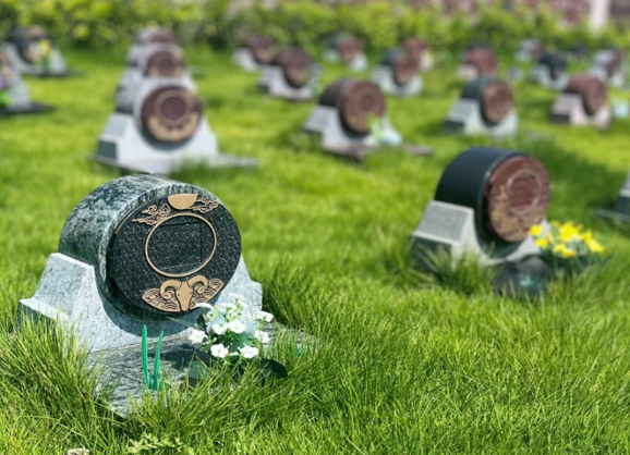 抖圈-为du而生官网入口