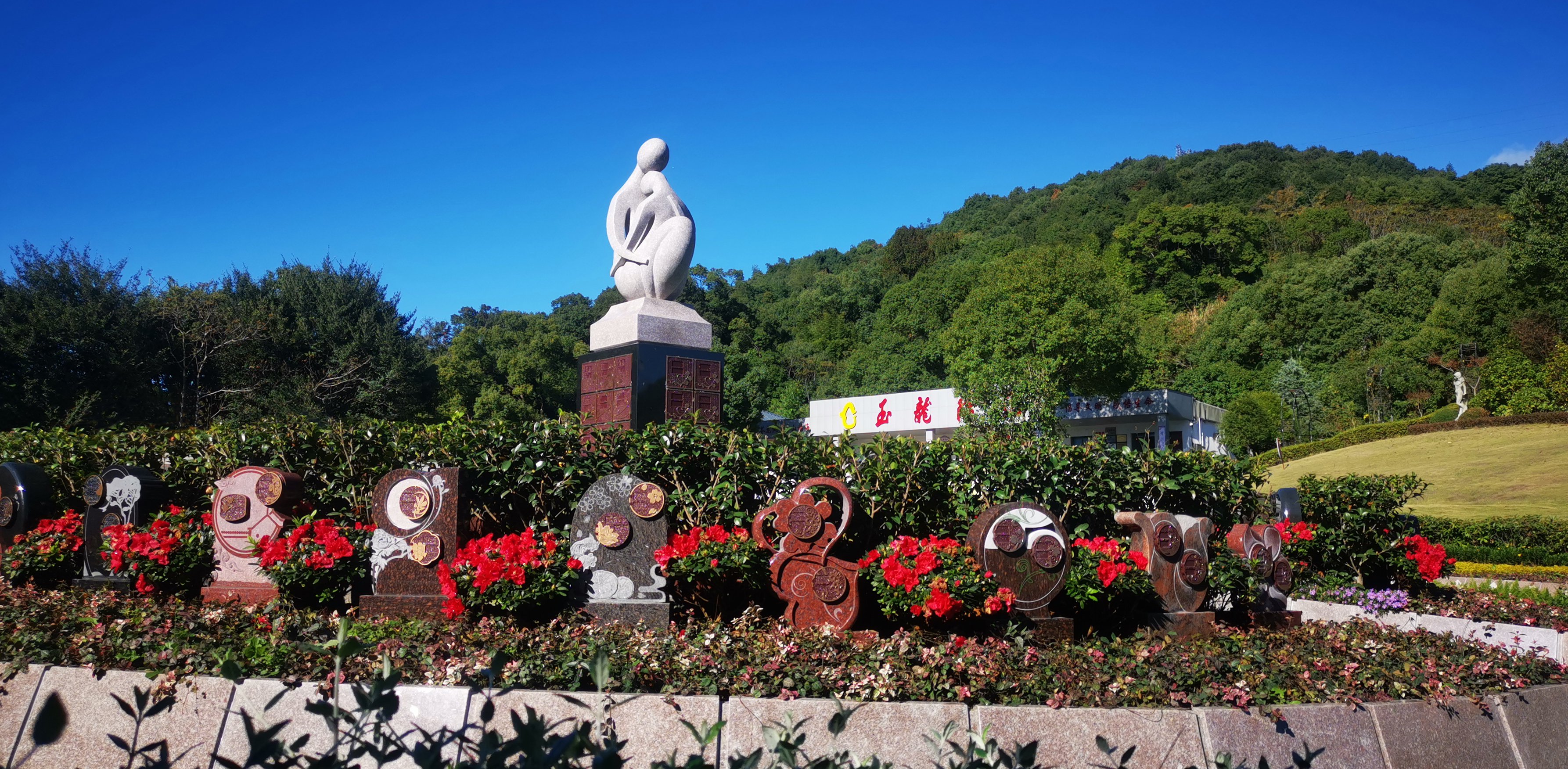 未来，生态葬或将成为主流