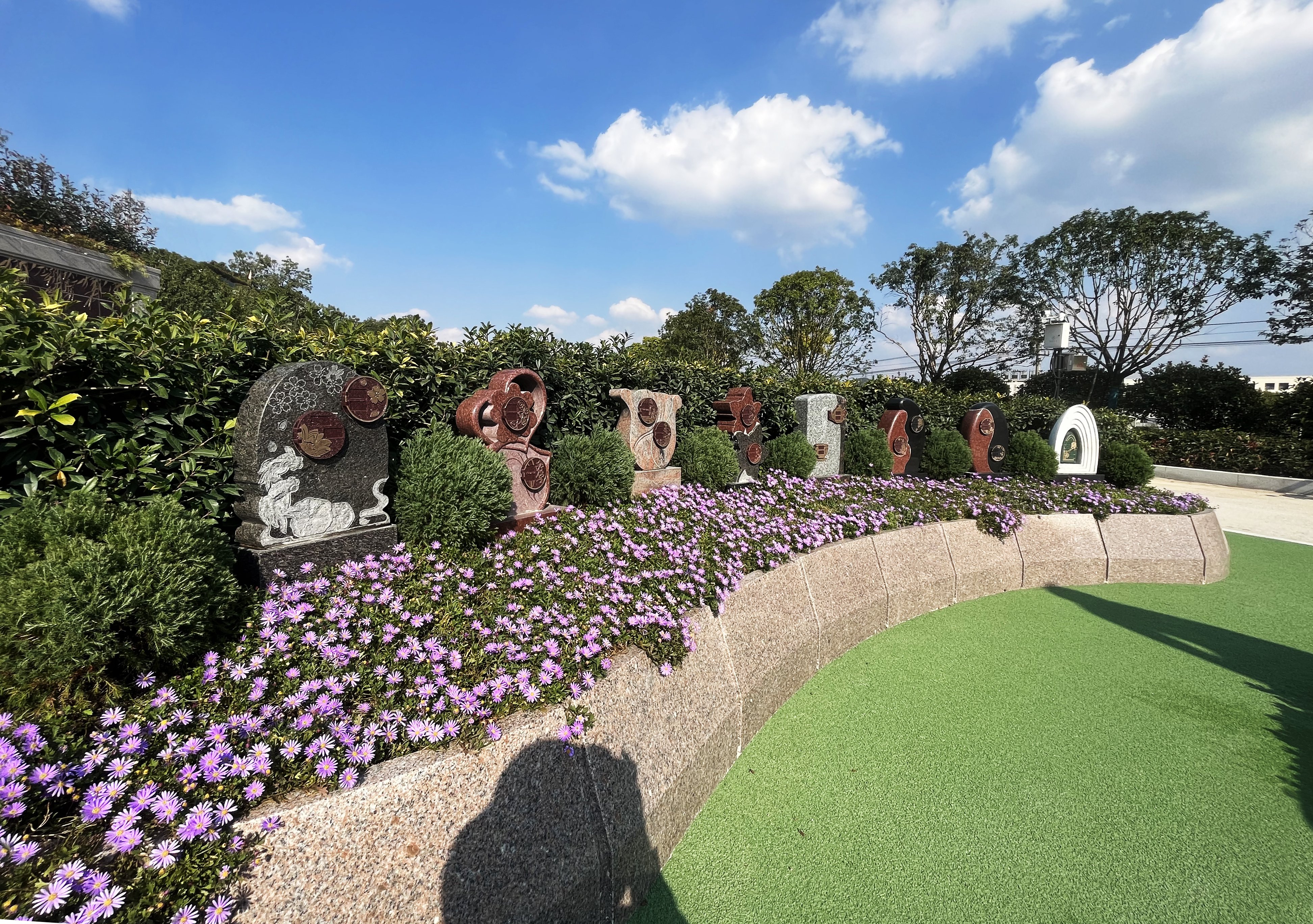 抖圈-为du而生官网入口