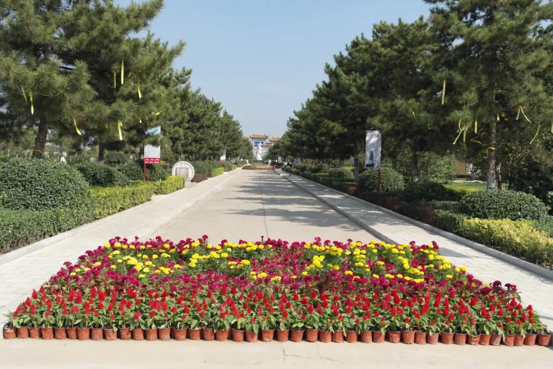 抖圈-为du而生官网入口