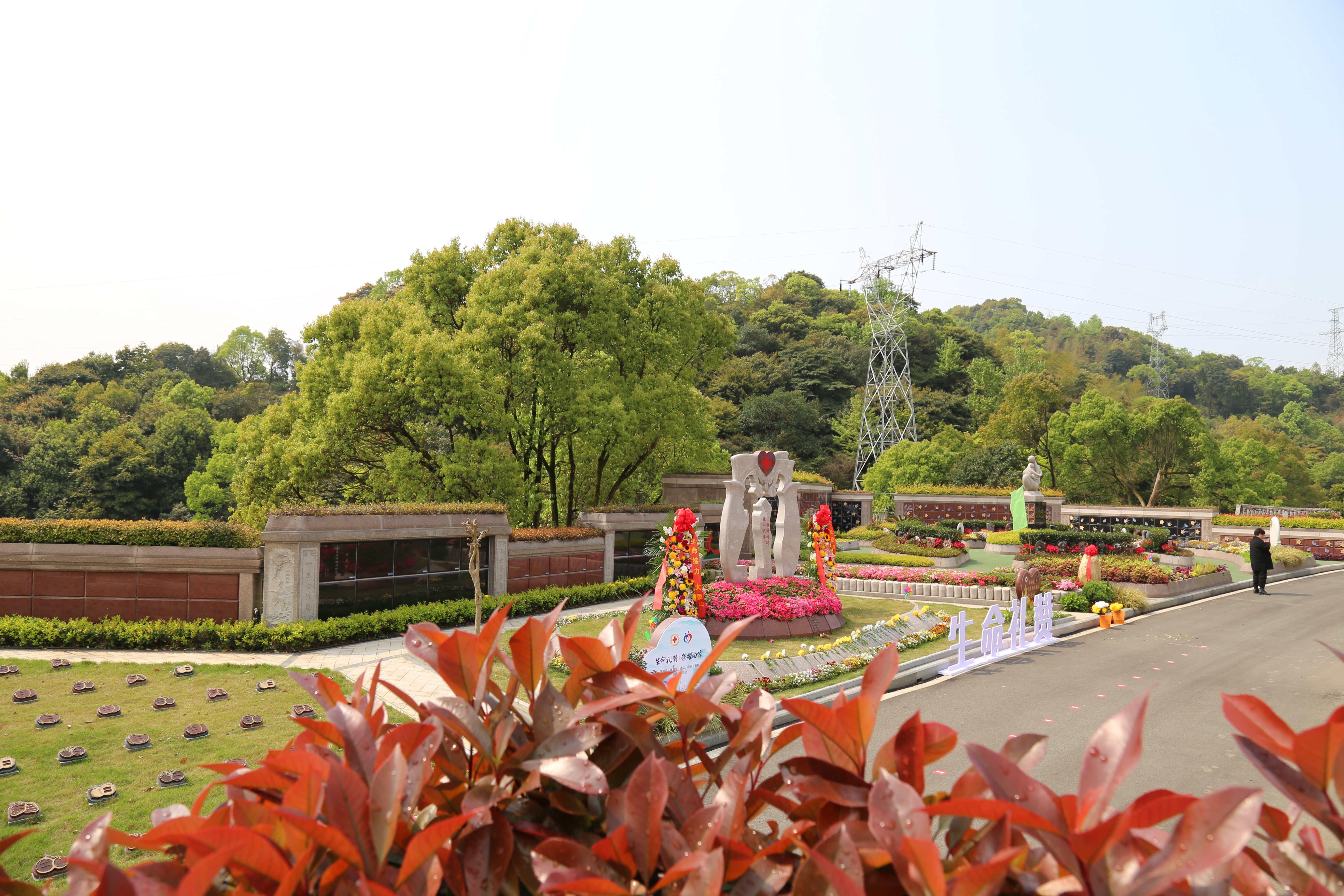 抖圈-为du而生官网入口