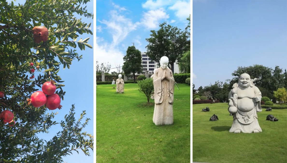 抖圈-为du而生官网入口