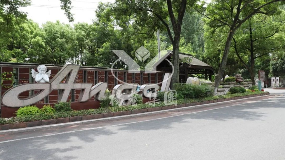 抖圈-为du而生官网入口