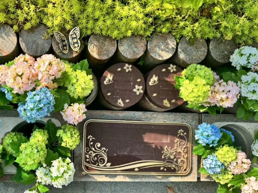 抖圈-为du而生官网入口