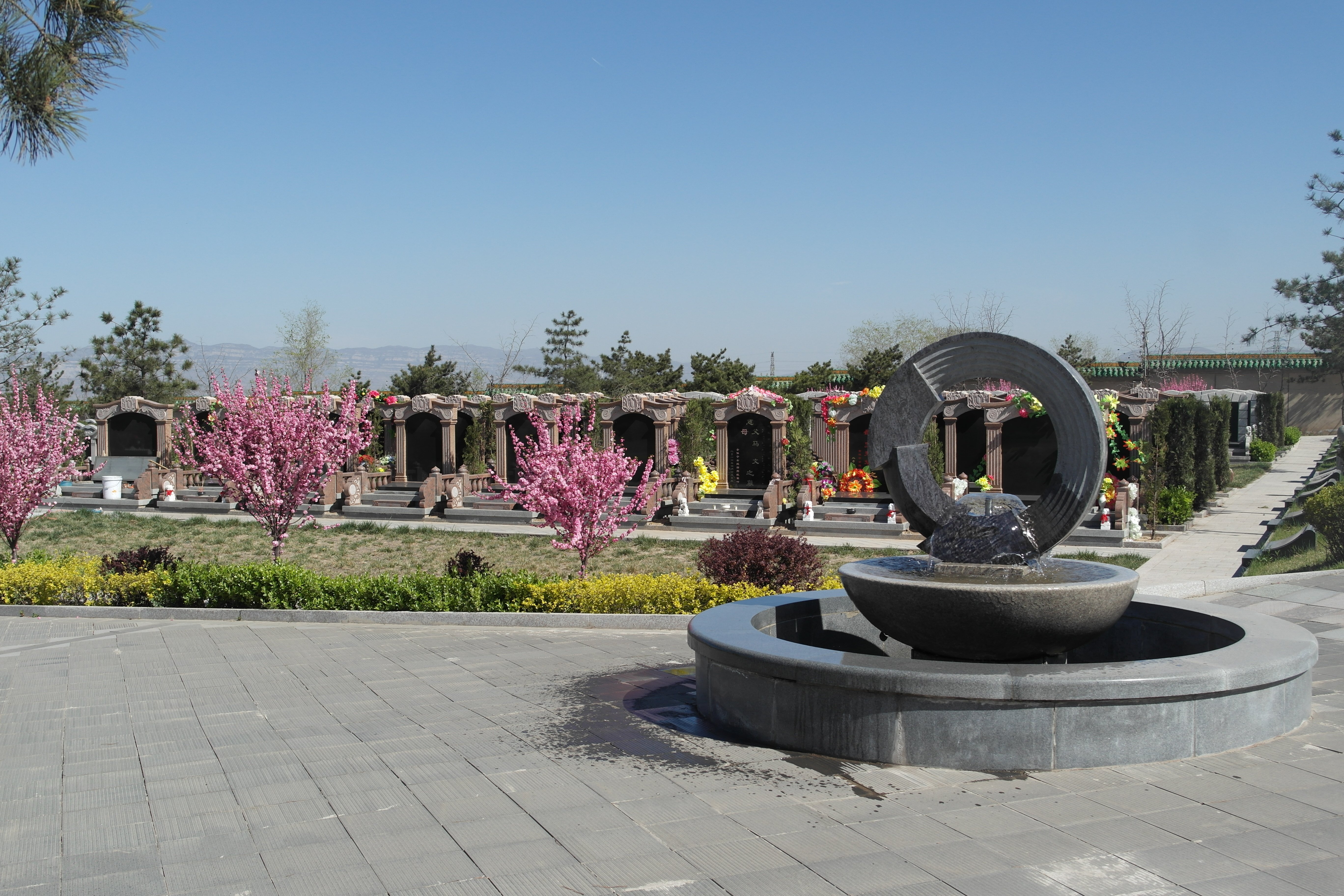 抖圈-为du而生官网入口