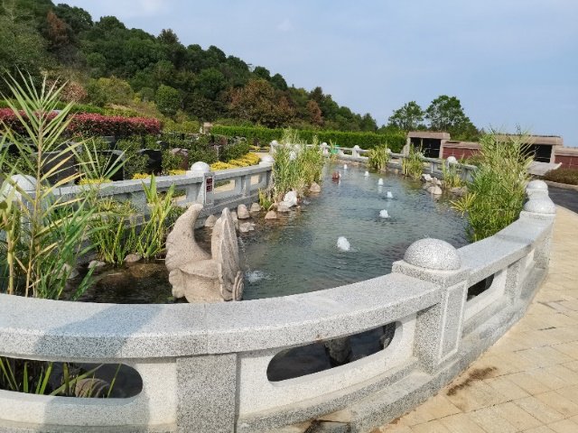 抖圈-为du而生官网入口