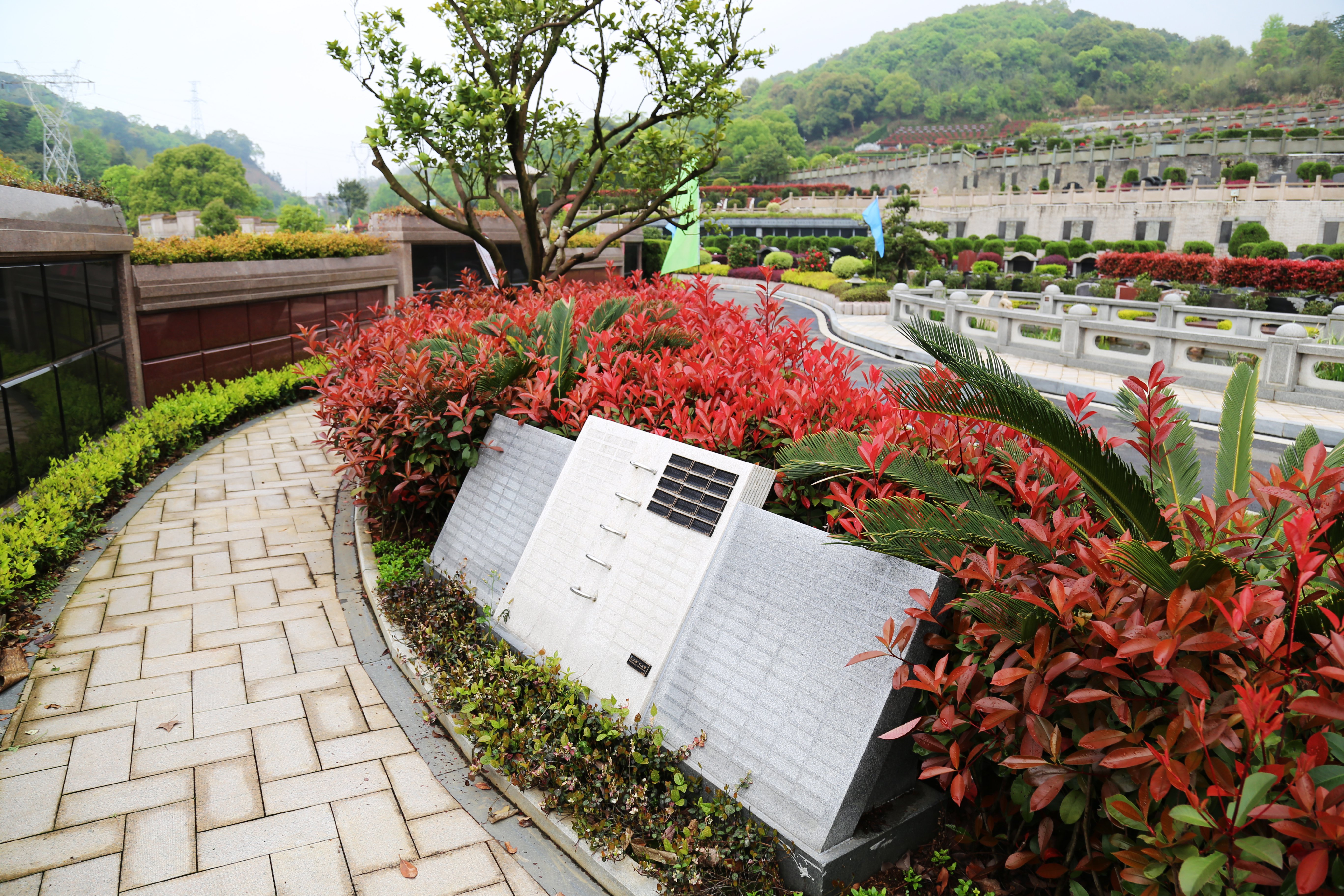 抖圈-为du而生官网入口