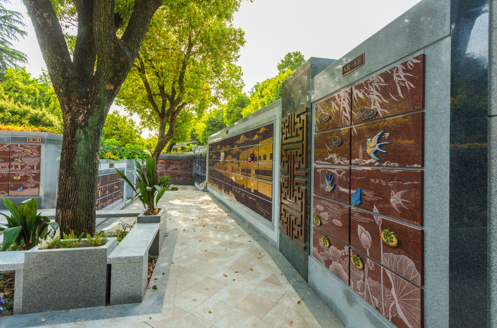 抖圈-为du而生官网入口