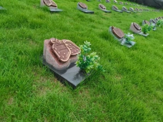 抖圈-为du而生官网入口