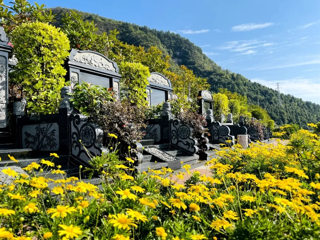 抖圈-为du而生官网入口