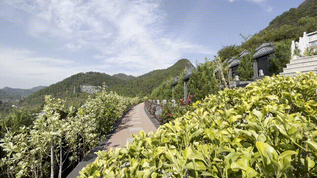 抖圈-为du而生官网入口