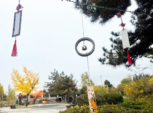 抖圈-为du而生官网入口